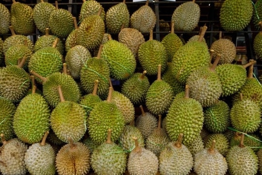 Giá sầu riêng hôm nay 29/11: Ổn định sau đợt tăng mạnh, loại đẹp chạm mốc 180.000 đồng/kg
