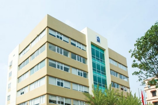 DP1 miễn nhiệm Tổng Giám đốc Công Việt Hải