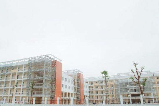 CNT chuyển giao dự án chung cư tại Quy Nhơn cho công ty con