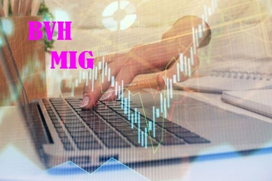 Nhóm cổ phiếu bảo hiểm tăng mạnh nhất thị trường, BVH và MIG "khoe sắc tím"