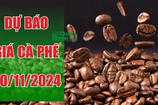 Dự báo giá cà phê ngày 30/11: Robustas tiếp tục lập đỉnh, giá trong nước tăng sát mức kỷ lục