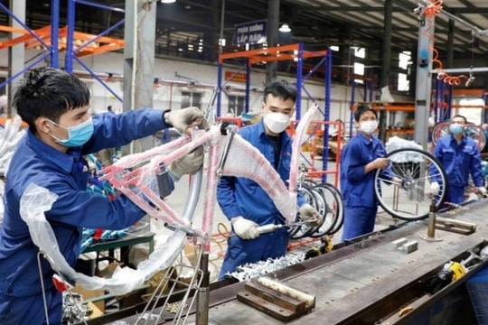 Kinh tế Việt Nam qua góc nhìn quốc tế: Con đường dẫn đến tương lai thu nhập cao