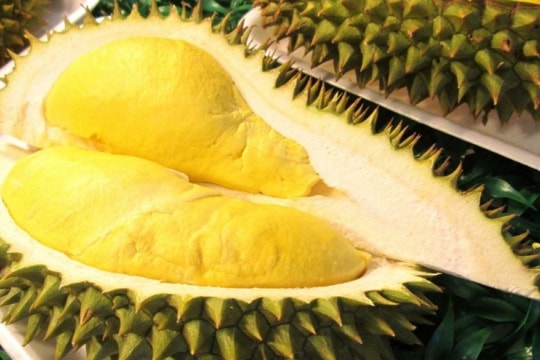 Giá sầu riêng hôm nay 30/11: Ổn định cuối tuần, giá xuất khẩu tiếp tục hấp dẫn