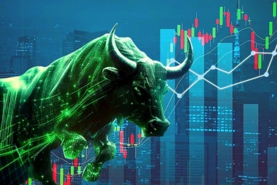 Cổ phiếu tăng giảm nổi bật nhất tuần qua: DC4 thống trị sàn HOSE, FPT gây bất ngờ