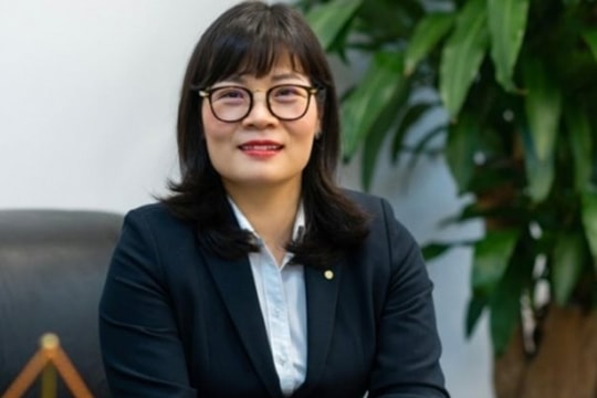 "Ghế nóng" Tập đoàn Bảo Việt có chủ sau hơn 2 năm để trống