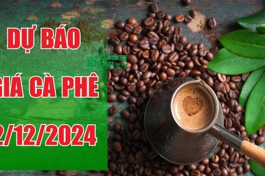 Dự báo giá cà phê ngày 2/12/2024: Chờ đợi tín hiệu phục hồi từ quốc tế