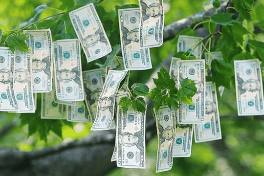 Lịch chốt quyền cổ tức tuần từ 2-6/12: FPT, VHC, và loạt công ty chi cổ tức đậm dịp cuối năm