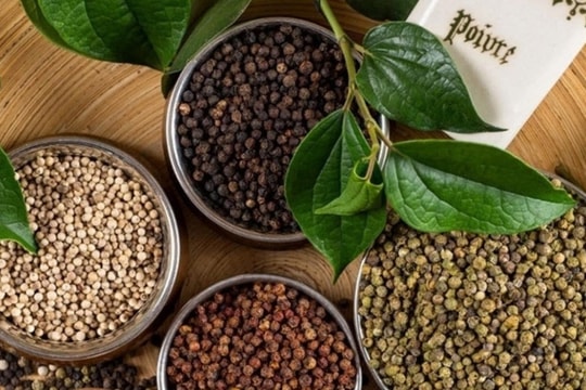 Giá tiêu hôm nay 2/12/2024: Tăng mạnh, chạm mốc 145.500 đồng/kg tại nhiều địa phương