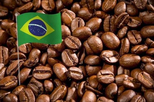 Giá cà phê tăng vọt khiến hai doanh nghiệp Brazil đối diện khoản nợ hơn 181 triệu USD