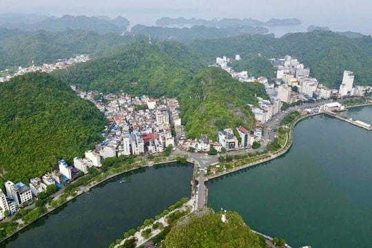 Nhà đầu tư giàu tiềm lực, tâm huyết sẽ đưa Cát Bà thành đảo du lịch xanh toàn diện