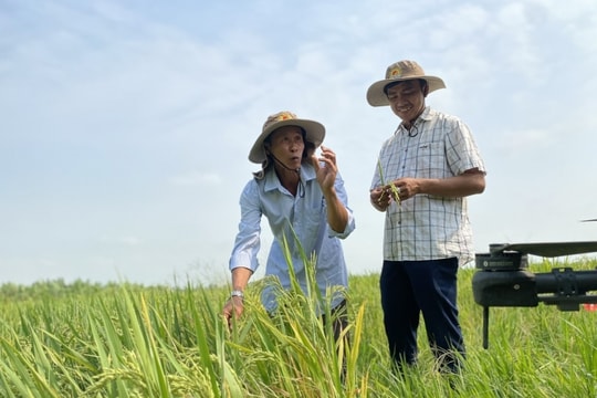 Ngành nông nghiệp cơ bản đạt và vượt các mục tiêu đề ra