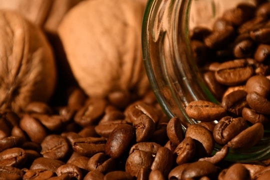 Giá cà phê hôm nay 5/12: Tiếp tục giảm sâu, doanh nghiệp đối diện áp lực kép