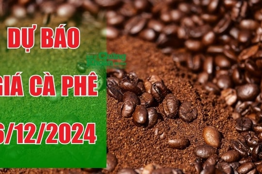 Dự báo giá cà phê ngày 6/12/2024: Liệu đà tăng có tiếp tục duy trì?