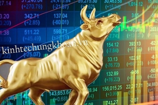 Dầu khí và hóa chất hỗ trợ VN-Index tăng điểm, nhóm chứng khoán và ngân hàng phân hóa mạnh