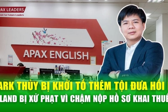 Shark Thủy bị khởi tố thêm tội đưa hối lộ, doanh nghiệp liên quan Shark Hưng bị xử phạt thuế
