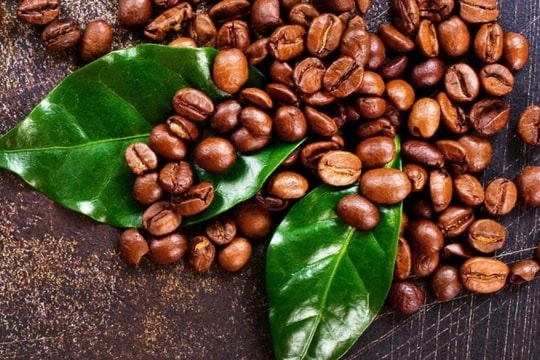 Giá cà phê Đắk Lắk vượt đỉnh: Thời điểm vàng để bán ra hay tiếp tục trữ hàng?