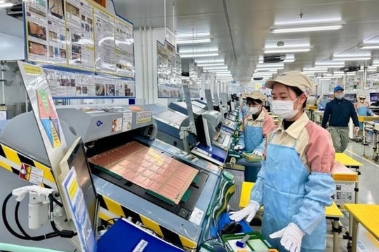 Điểm sáng doanh nghiệp Việt Nam sau 11 tháng đầu năm 2024