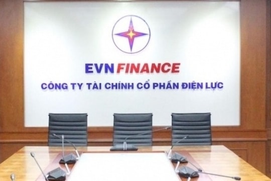 MHC bán toàn bộ 10,26 triệu cổ phiếu EVF, thu về gần 115 tỷ đồng