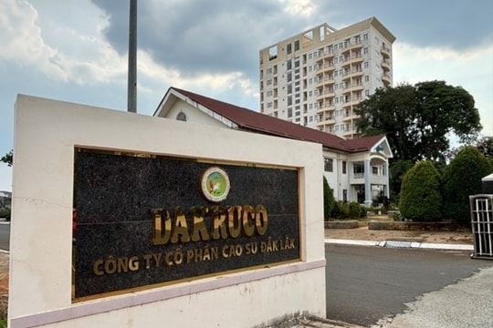 DRI muốn chuyển đổi hơn 36ha vườn điều tại Lào sang trồng "vua của các loại trái cây"