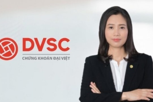 Chứng khoán Đại Việt bổ nhiệm Tổng Giám đốc mới