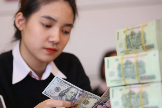 MBS: Đồng VND mất giá 4,1%, tỷ giá và lãi suất tăng áp lực cuối năm