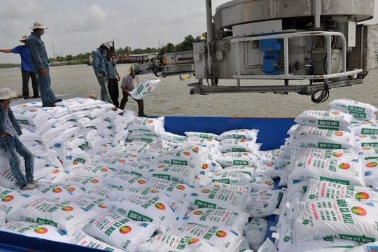 Bức tranh nhập khẩu phân bón có sự phân hóa rõ nét
