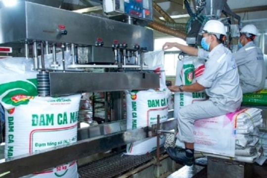 "Hụt hơi' trong quý IV, lợi nhuận Đạm Cà Mau năm 2024 bị chững lại