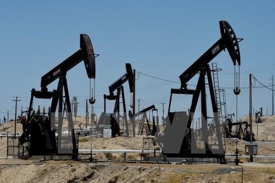 Hạ dự báo giá dầu: Cơ hội và thách thức đan xen trong bức tranh ngành năng lượng