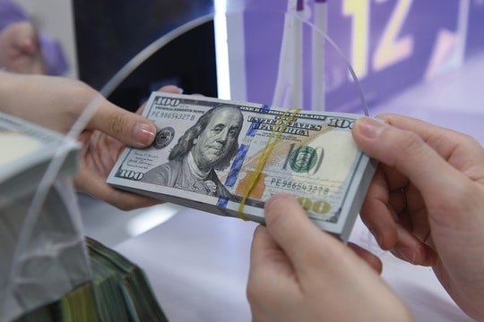 Tỷ giá USD ngày 17/12/2024:  Đồng USD chững lại trước thềm cuộc họp FED