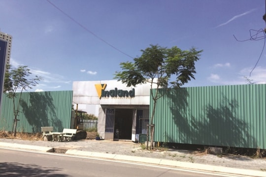 Vinaland thoái bớt vốn tại công ty con, cổ phiếu tăng trần 2 phiên liên tiếp