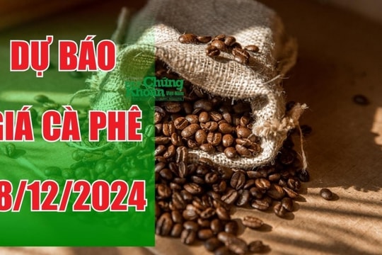 Dự báo giá cà phê ngày 18/12: Arabica lập đỉnh 50 năm, cà phê nội địa liệu có phục hồi?