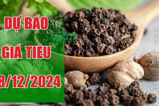 Dự báo giá tiêu ngày 18/12/2024: Nguồn cung khan hiếm, giá tiêu liệu có bứt phá trở lại?