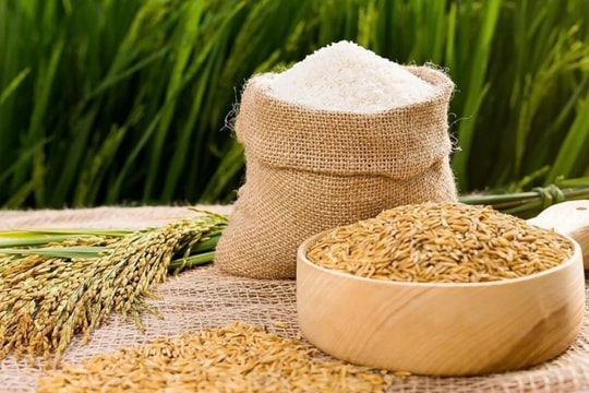 Giá lúa gạo hôm nay 18/12/2024: Lúa Nàng Hoa 9 cao nhất 9.400 đồng/kg, gạo IR 504 tăng nhẹ