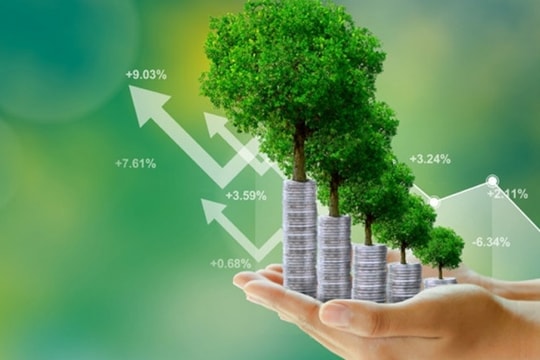 Chính sách tài chính thúc đẩy tăng trưởng xanh ở Việt Nam
