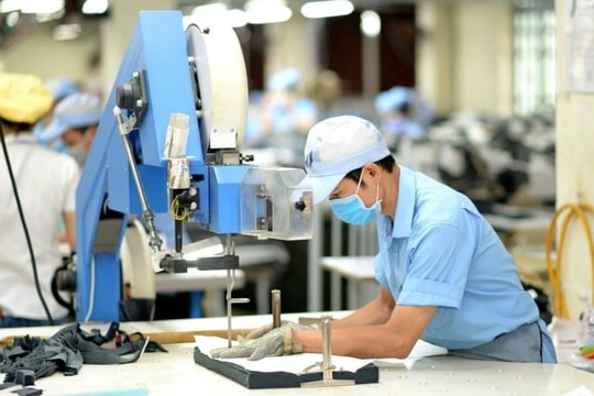 Một công ty con của Tập đoàn Dệt may Việt Nam ước đạt lợi nhuận kỷ lục, cổ phiếu lên đỉnh lịch sử