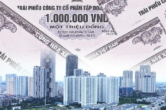 Huy động 6.900 tỷ đồng trái phiếu chỉ trong 1 ngày, ai đang đứng sau Newco?