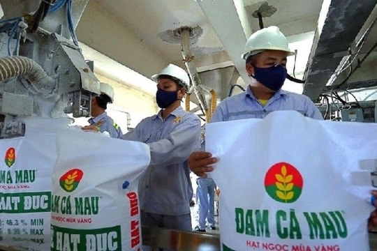 Đạm Cà Mau đặt mục tiêu doanh thu hơn 13.200 tỷ đồng trong năm 2025