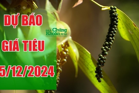 Dự báo giá tiêu ngày 25/12/2024: Đà tăng liệu có "cất cánh"?
