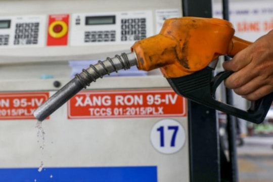 Giá xăng dầu hôm nay 25/12/2024: Dầu thô tăng hơn 1%, trong nước ổn định sau kỳ điều chỉnh