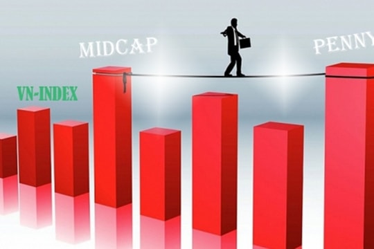 Lý giải sức hút của cổ phiếu midcap và penny bất chấp thị trường trầm lắng