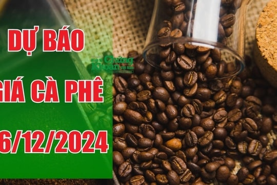 Dự báo giá cà phê ngày 25/12/2024: Liệu đà tăng có được duy trì?
