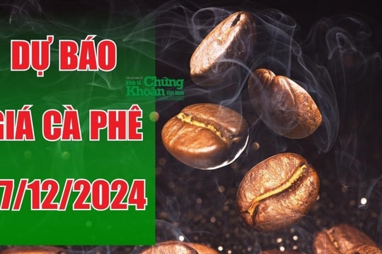 Dự báo giá cà phê ngày 27/12/2024: Kỳ vọng tăng nhẹ