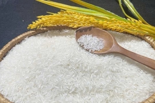 Giá lúa gạo hôm nay 27/12/2024: Tiếp tục giảm nhẹ, Đồng Tháp lập kỷ lục xuất khẩu gạo