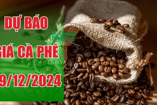 Dự báo giá cà phê ngày 29/12/2024: Giá nội địa sẽ giữ đà tăng?