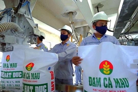Giá bán phân bón nội địa năm 2025 dự kiến giảm nhẹ hơn giá thế giới