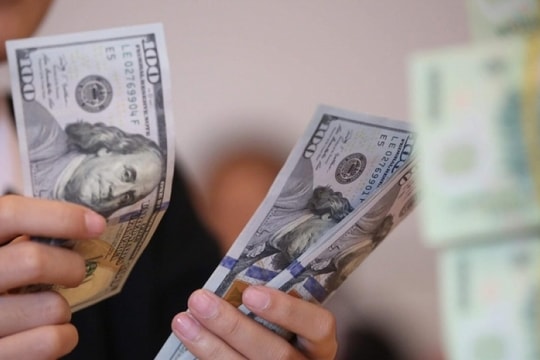 Tỷ giá USD ngày 01/01/2025: Đồng bạc xanh giữ vững đỉnh cao hai năm