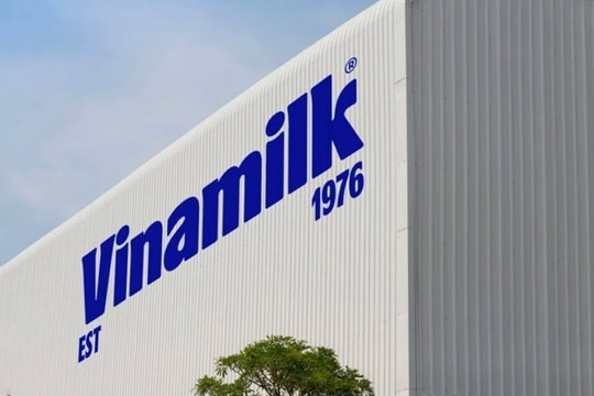 Vinamilk (VNM) tìm động lực tăng trưởng từ ba trụ cột kinh tế Đông Bắc Á