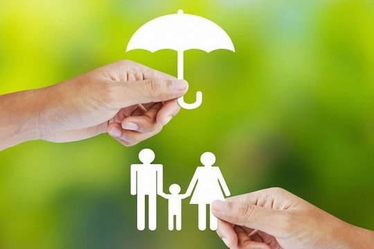 Thị trường bảo hiểm Việt Nam 2025: Tín hiệu tích cực từ tăng trưởng doanh thu