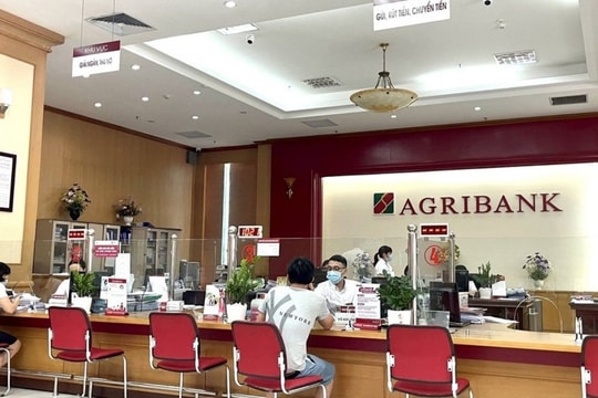Cập nhật lãi suất huy động Agribank đầu năm 2025: Khách hàng cá nhân hưởng lợi lớn