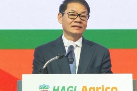 Lý do giúp cổ phiếu HNG bất ngờ tăng trần trong phiên đầu tiên của năm 2025